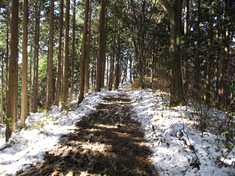 20161125hike (144)